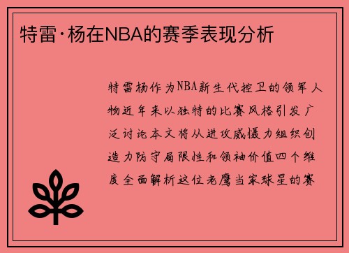 特雷·杨在NBA的赛季表现分析
