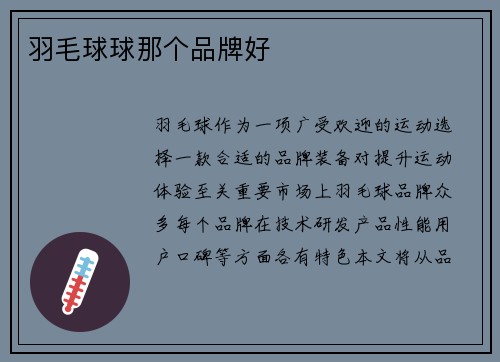 羽毛球球那个品牌好
